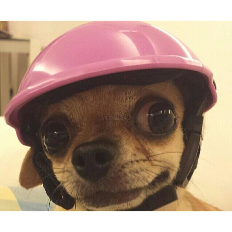 DOG MOTORCYCLE HELMETS Pets Ridding Caps Cosplay Hat ABS Plastic Puppy Hats